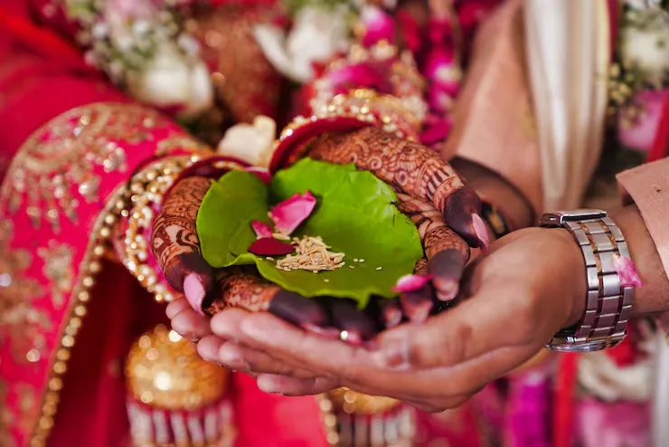 Wedding Catering Services in Chhattisgarh